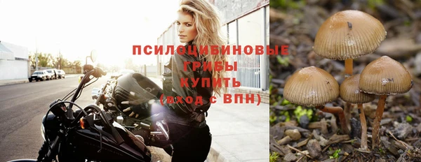 а пвп мука Аркадак