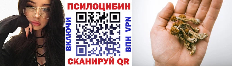 Купить где  Балашиха  Псилоцибиновые грибы Psilocybe 